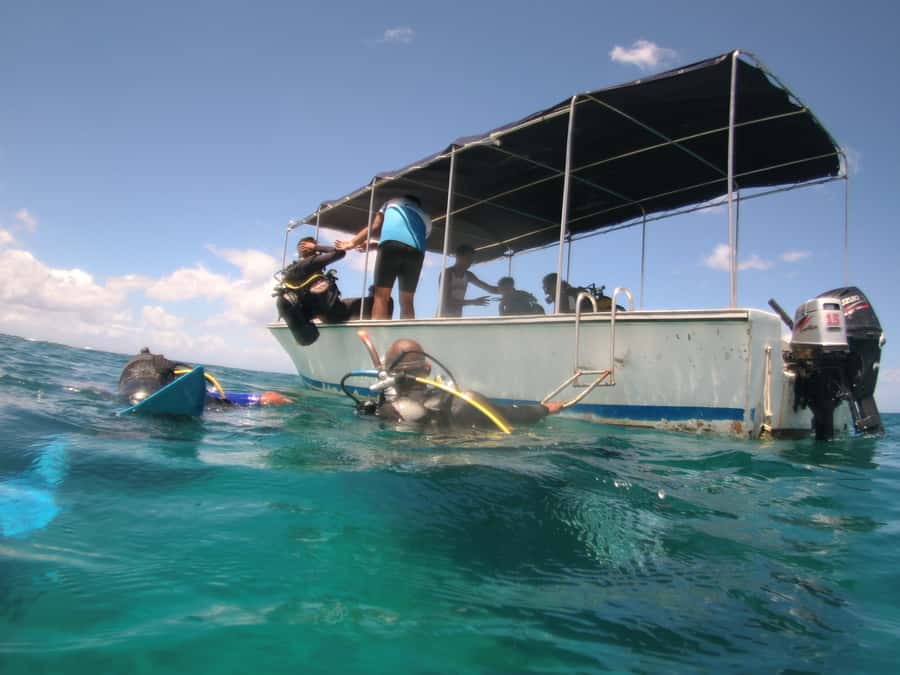 Mauritius: East Belle Mare Scuba Diving Tour - Shipwrecks and reef life in Belle Mare: the wow factor, explained