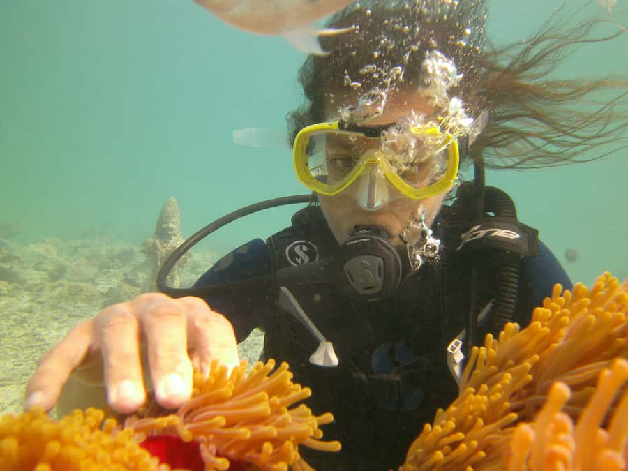 Mauritius: East Belle Mare Scuba Diving Tour - Gear, comfort, and what this center feels like in real life