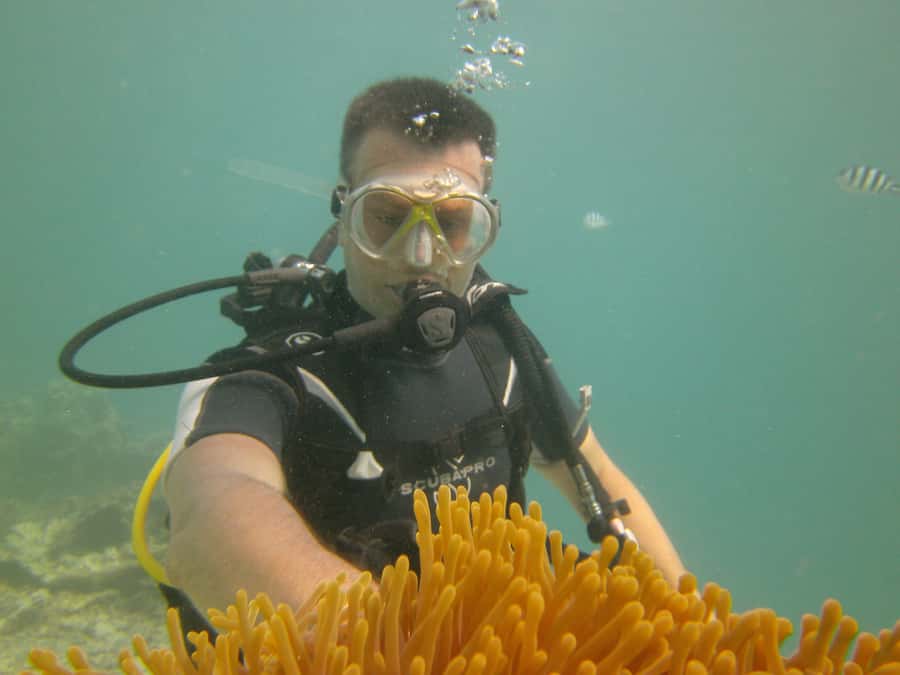 Mauritius: East Belle Mare Scuba Diving Tour - Price and value at $158: where the money goes