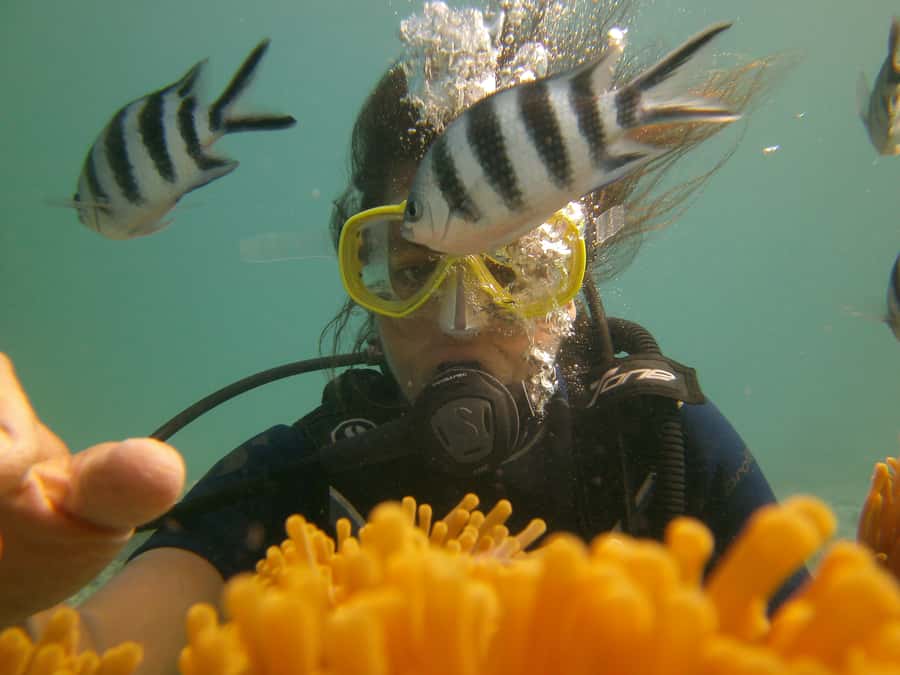 Mauritius: East Belle Mare Scuba Diving Tour - Who should book this and who should skip it