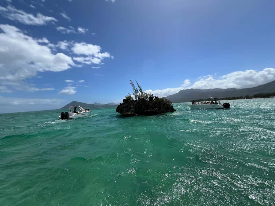 Mauritius Eco Whales Quest, 3-4 hours Expedition - Boat Guide and Live Commentary in English and French