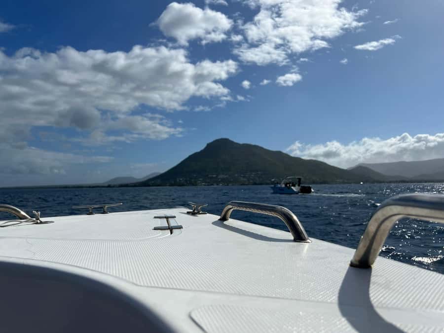 Mauritius Eco Whales Quest, 3-4 hours Expedition - What You Might See: Sperm Whales, Humpbacks, and Dolphins