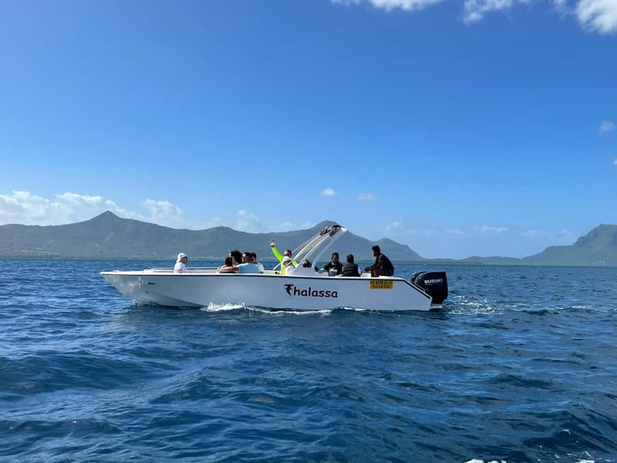 Mauritius Eco Whales Quest, 3-4 hours Expedition - Price Check: Does $223 Per Person Make Sense?