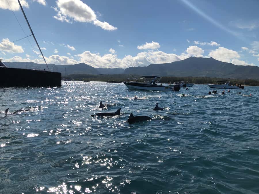 Mauritius Eco Whales Quest, 3-4 hours Expedition - 3 to 4 Hours at Sea: What the Day Really Feels Like