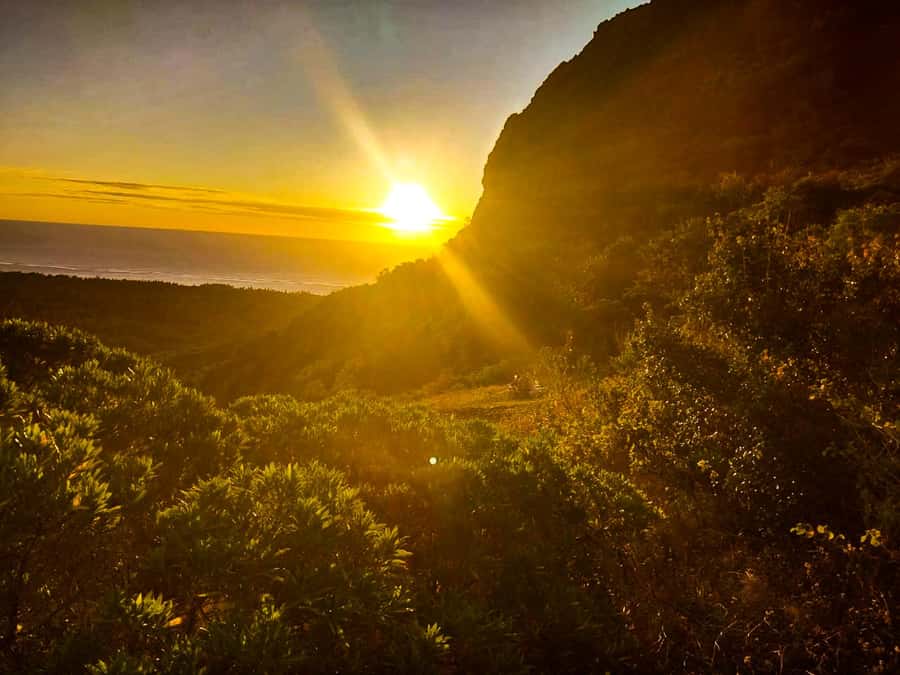 Mauritius: Exclusive Le Morne Sunset Hike & Aperitivo - Key points to know before you go