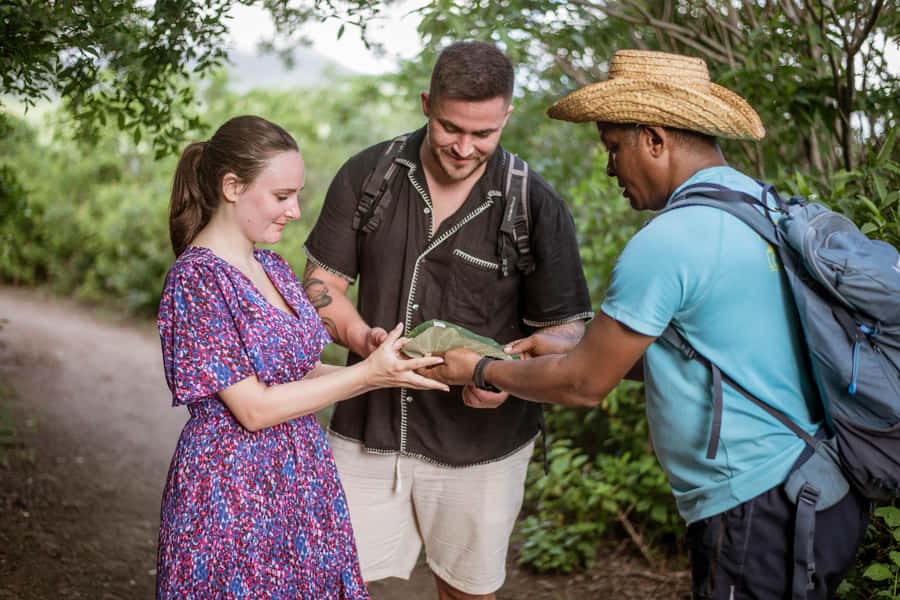 Mauritius: Exclusive Le Morne Sunset Hike & Aperitivo - Who this is best for, and who should skip it