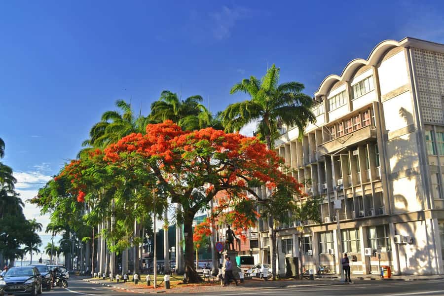 Mauritius: Exclusive North Tour with Pickup - Port Louis markets and Caudan Waterfront: where the day begins