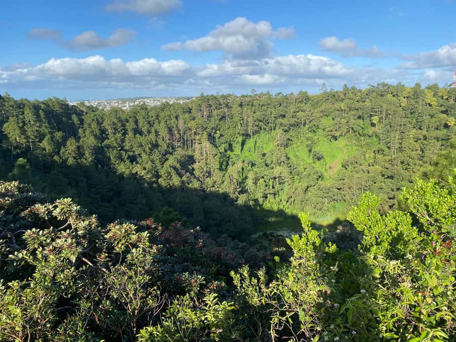 Mauritius: Exclusive South West Tour - Alexandra Falls: A Waterfall Stop That Feels Worth the Time