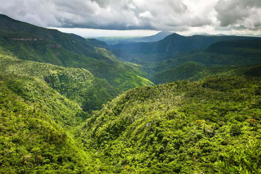 Mauritius: Exclusive South West Tour - Price and Value: $126 for Up to 4, Plus What You Should Budget Extra