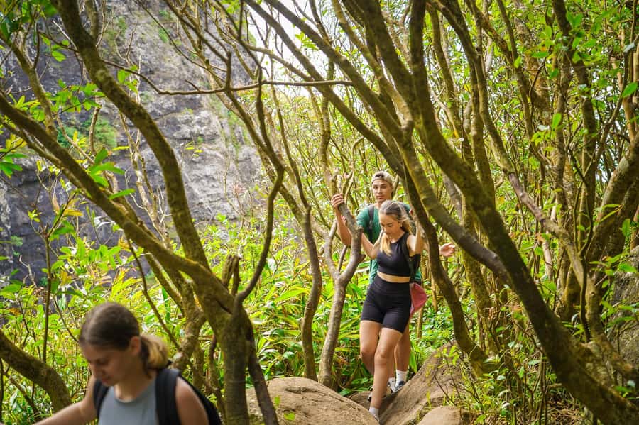 Mauritius: Exploring the Tamarind Falls with a Guide - Waterfall Stops and Swimming: How the Natural Pools Work