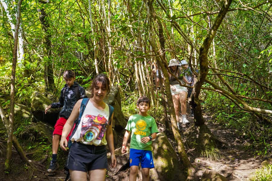 Mauritius: Exploring the Tamarind Falls with a Guide - How the Guide Makes This Adventure Easier and Safer
