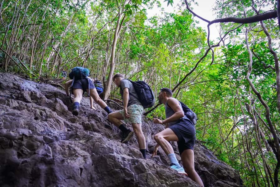Mauritius: Exploring the Tamarind Falls with a Guide - What to Bring for Tamarind Falls (And What to Skip)