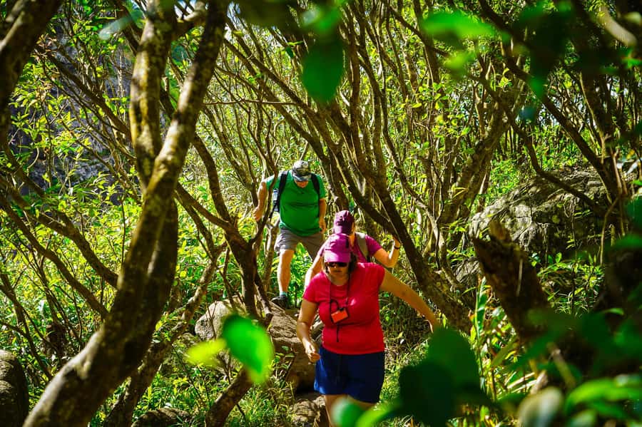 Mauritius: Exploring the Tamarind Falls with a Guide - Meeting Point at the Church and How the Day Starts