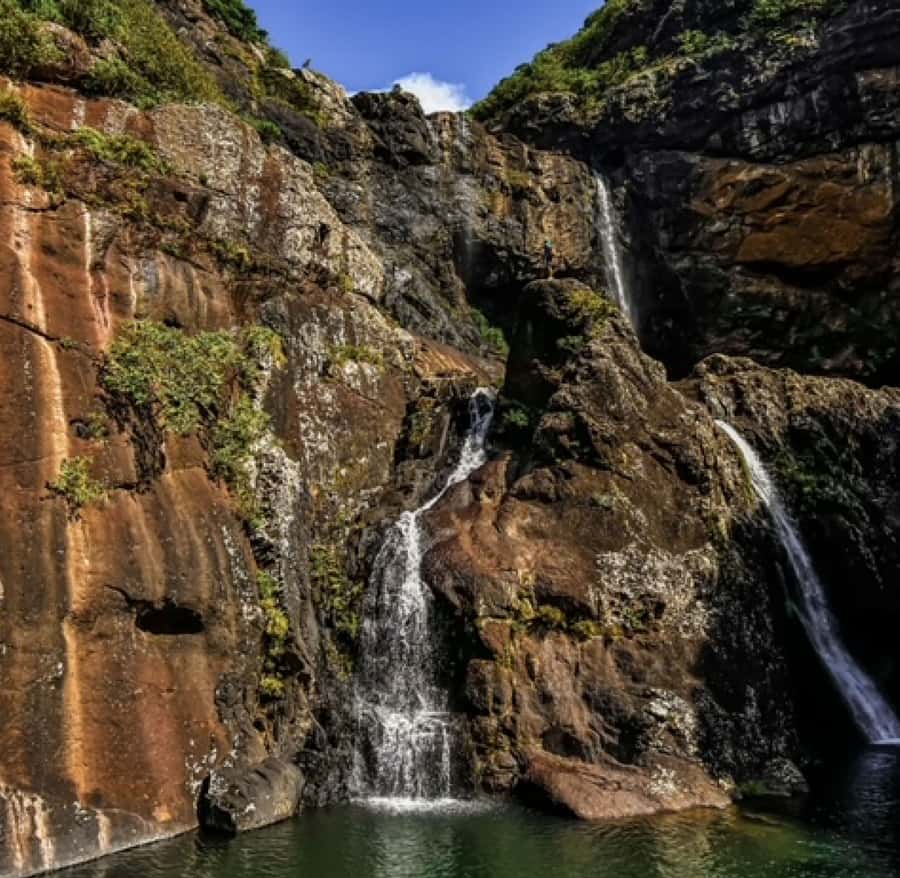 Mauritius: Full Canyon Tamarind Falls 5-Hour Hike - Henrietta Bus Station Start, Sugarcane-to-Canyon Walk
