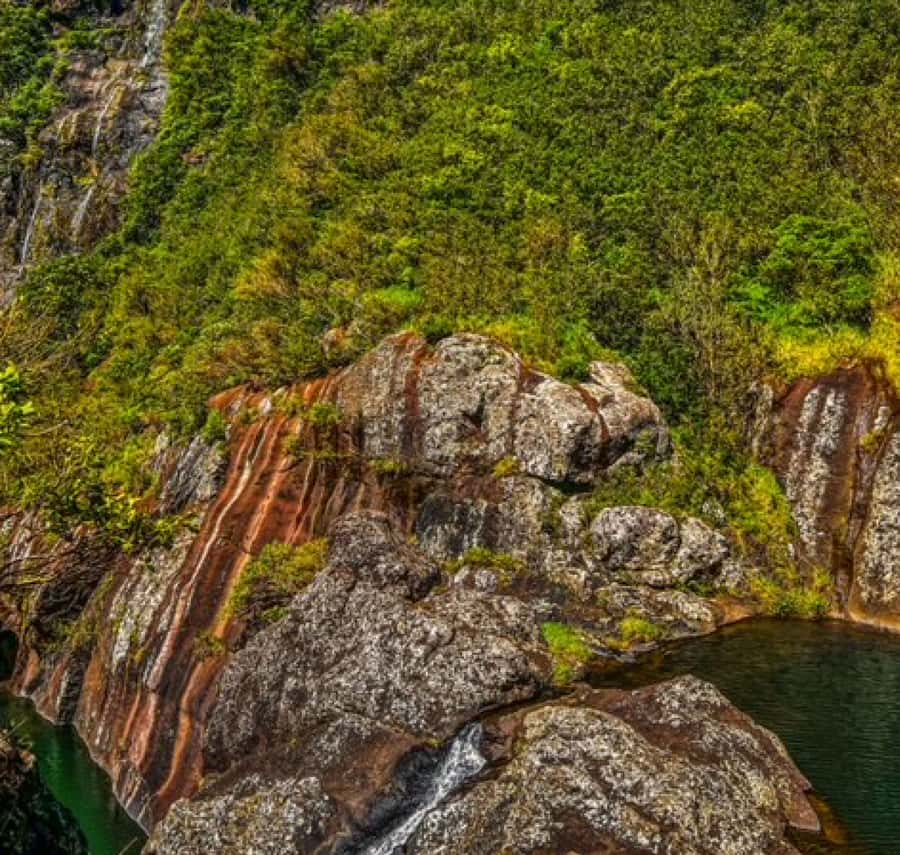 Mauritius: Full Canyon Tamarind Falls 5-Hour Hike - Swimming in Natural Pools, Cold Water Reality Check