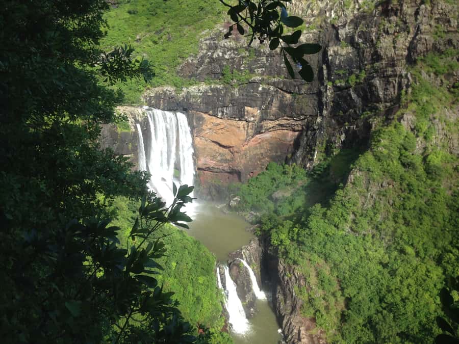 Mauritius: Full Canyon Tamarind Falls 5-Hour Hike - What You Learn With Guides Like Yan, Jeremie, and Regine