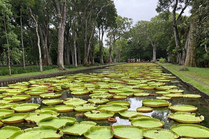 Mauritius full day : Private north tour - Key points to know before you go