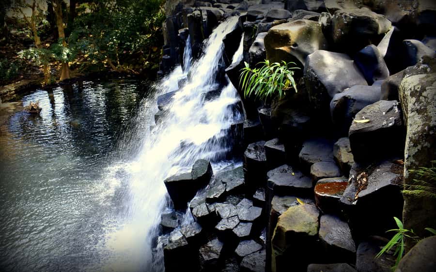 Mauritius: Full-Day Quad Bike Tour with Lunch - How the ride feels: groups, guides, quads, and timing you should plan around
