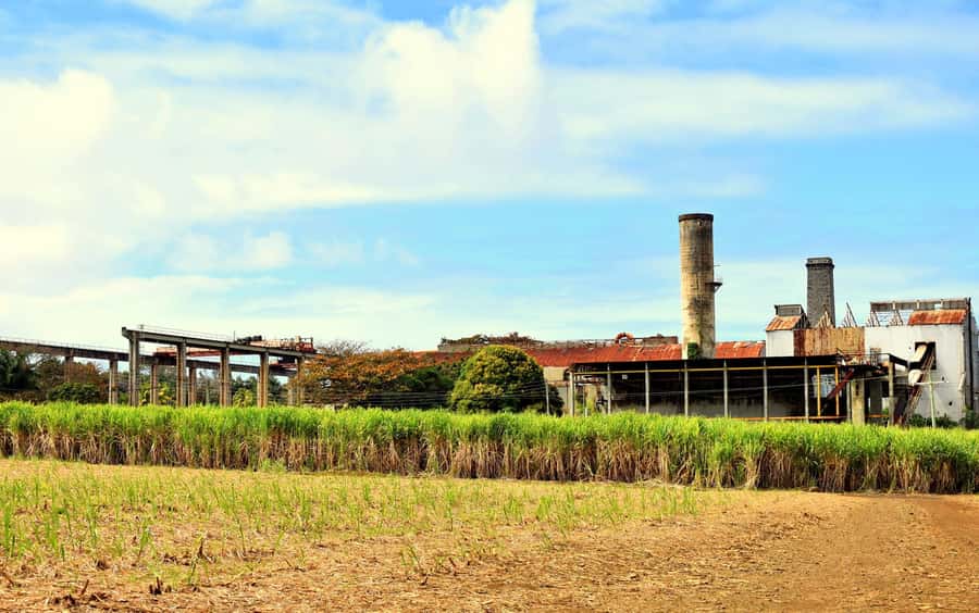 Mauritius: Full-Day Quad Bike Tour with Lunch - Price and value: is $296 per person worth it for you