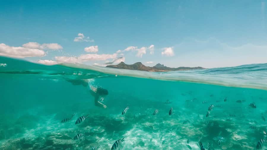Mauritius: Full-Day Speedboat Tour to Ile aux Cerfs & BBQ - Grand River South East Waterfall: The Most Mauritius Part of the Whole Day