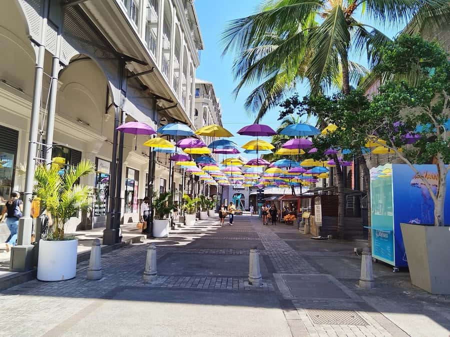 Mauritius: Full Day Tour of the North with Hotel Transfer - Hotel Pickup, Private Transport, and How the Day Actually Runs