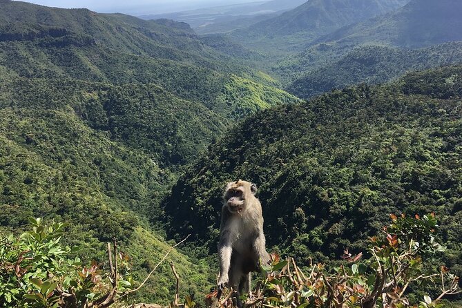 Mauritius full day tour : Private south west with lunch - Waterfalls and Black River Gorges region: how the nature stops work