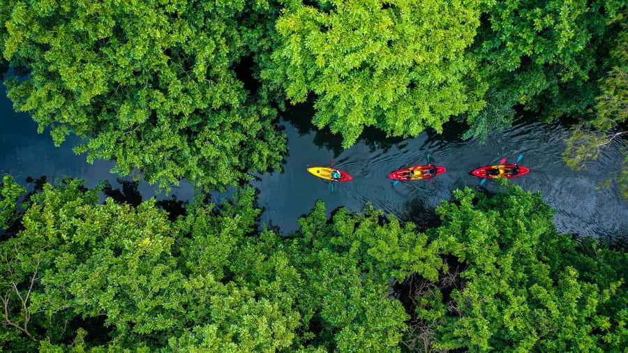 Mauritius: Guided Kayak Tour on Tamarin River - Quick hits
