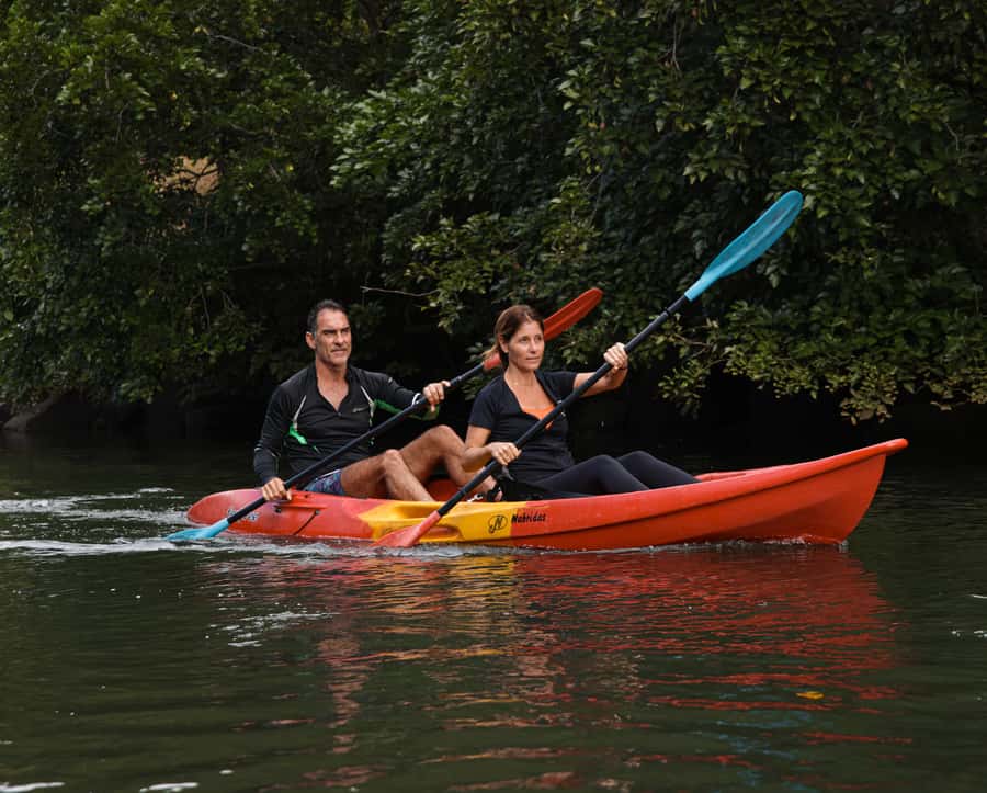 Mauritius: Guided Kayak Tour on Tamarin River - The Paddle Plan: Ocean Start, Upstream Arms, and Photo Breaks
