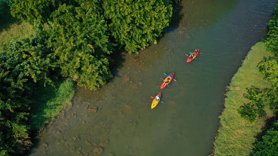 Mauritius: Guided Kayak Tour on Tamarin River - Kayaking Skills You’ll Pick Up Fast (Even If You’ve Never Done It)