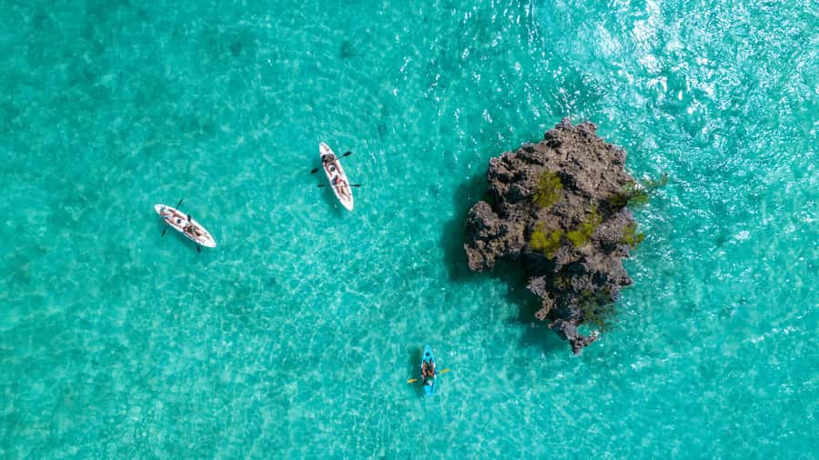 Mauritius: Guided Kayak tour to Benitiers Island - Starting at Le Morne, Then Getting the Rhythm Fast