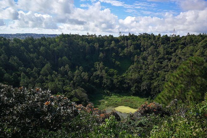 Mauritius Guided South Tour (Private) - Mare aux Vacoas reservoir: the stop that feels like a breather