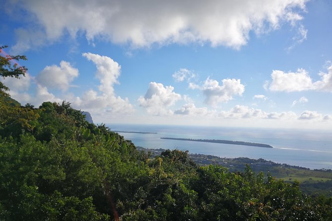 Mauritius Guided Southwest tour (Private) - Black River Gorges National Park: Gorge Viewpoint and a Chance to Spot Wildlife