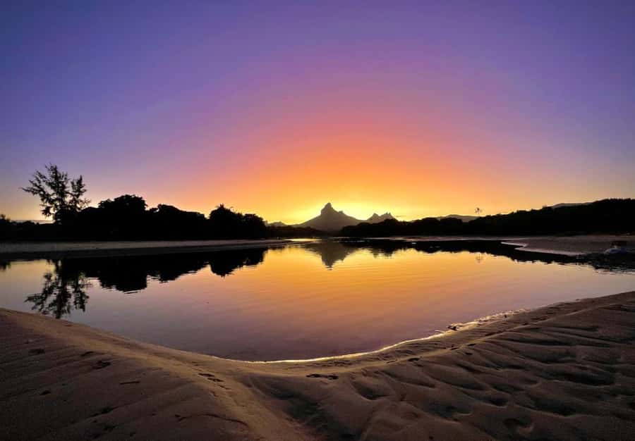 Mauritius: Guided Sunrise Kayak Tour on the Tamarin River - Wildlife Spotting on the Calm Side of Nature
