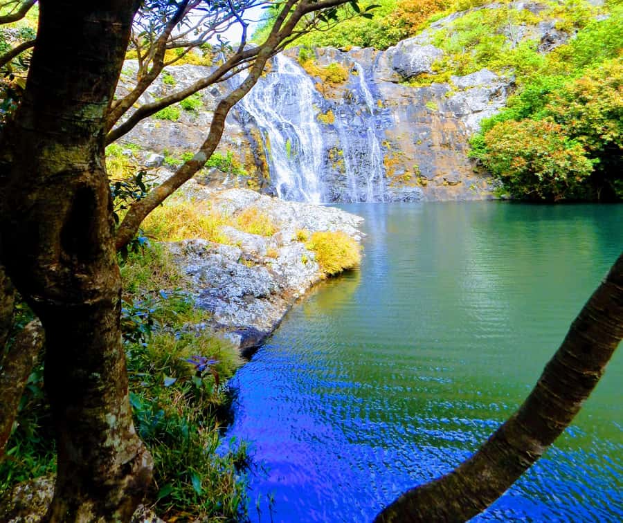 Mauritius: Guided Tamarind Falls Hike with Hotel Transfers - Tamarind Falls Hike, why the 7 cascades area works so well