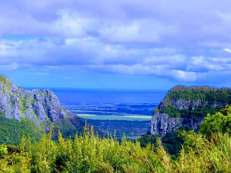 Mauritius: Guided Tamarind Falls Hike with Hotel Transfers - The trail to the first cascades, what “easy for all levels” actually feels like