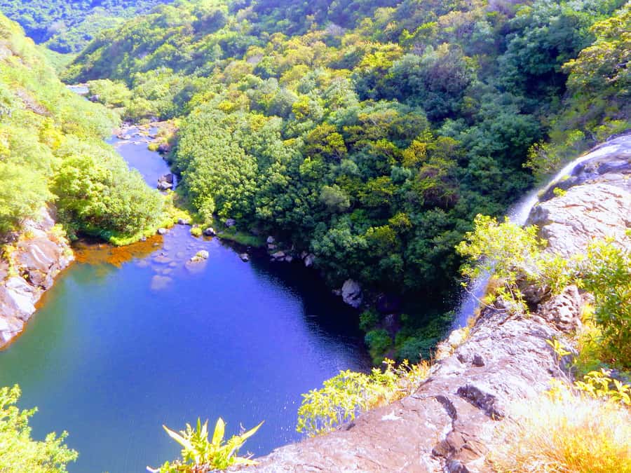 Mauritius: Guided Tamarind Falls Hike with Hotel Transfers - Morning timing and hotel transfers, what to expect from the 6:00 to 7:30am window
