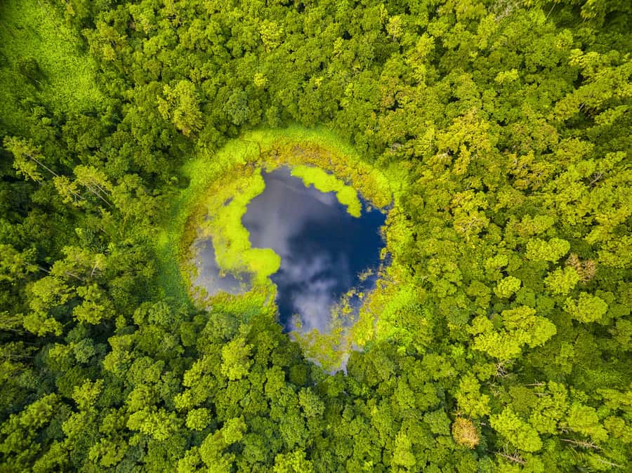 Mauritius: Guided Trip to the Southwest with Safari Tour - A smart way to see southwest Mauritius in 8 hours