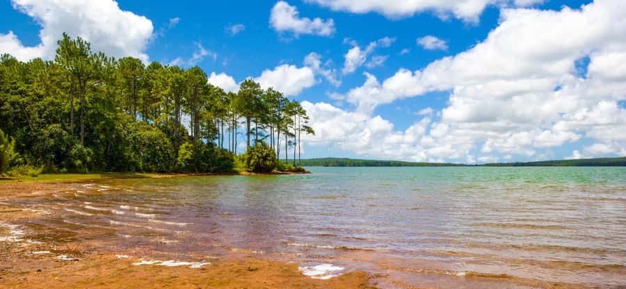 Mauritius: Guided Trip to the Southwest with Safari Tour - Alexandra Falls, coast colors, and the green valley effect