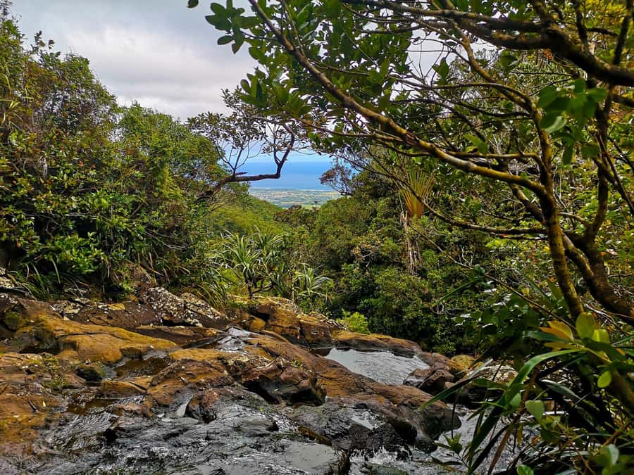 Mauritius: Guided Trip to the Southwest with Safari Tour - Maconde viewpoint, an ocean-in-the-middle feeling