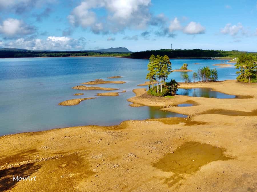Mauritius: Guided Trip to the Southwest with Safari Tour - Pickup, private driving, and why this matters on the south side