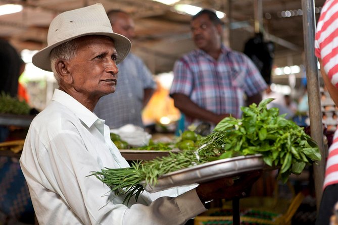 Mauritius Half Day City Tour(All Region) - Pickup and getting around: smoother than you might expect