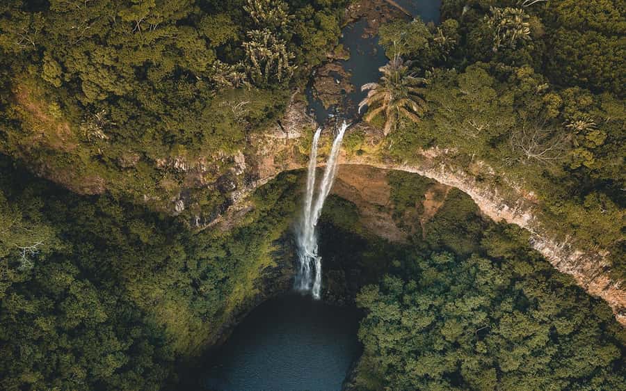 Mauritius: Hidden Waterfalls Discovery Tour with Pickup - The driver and the vehicle: the part that can make or break the day