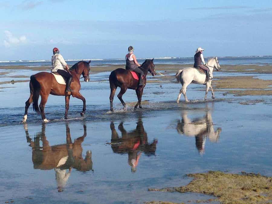 Mauritius: Horse riding on the deserted beach of Riambel - Key things to know before you go