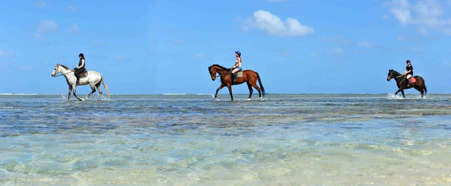 Mauritius: Horse riding on the deserted beach of Riambel - Price and value: what $117 per person buys you