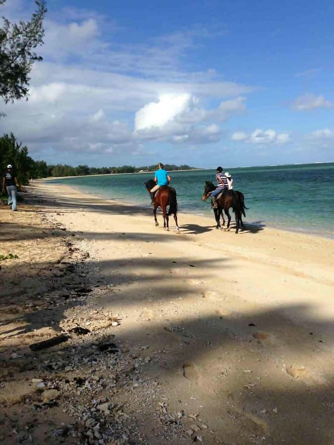 Mauritius: Horse riding on the deserted beach of Riambel - Meeting the horses and getting fitted safely at the stables