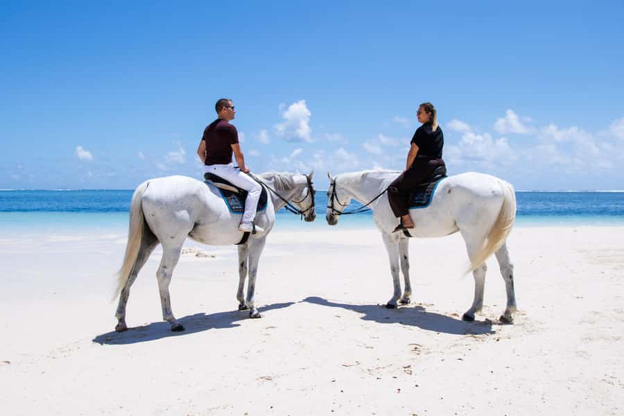 Mauritius: Horseback riding on the beach - Logistics That Matter: Meeting Point, Group Size, and Timing