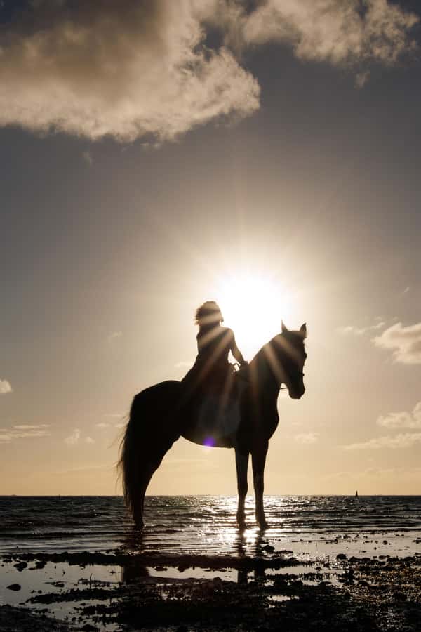Mauritius: Horseback riding on the beach - Should You Book This Horse Ride on Belle Mare Beach?
