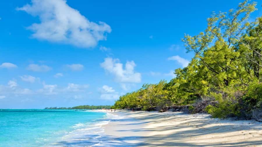 Mauritius: Ile aux Cerf Catamaran w/Waterfall Visit & Lunch - Ile aux Cerfs Beach Time, Plus Optional Water Activities