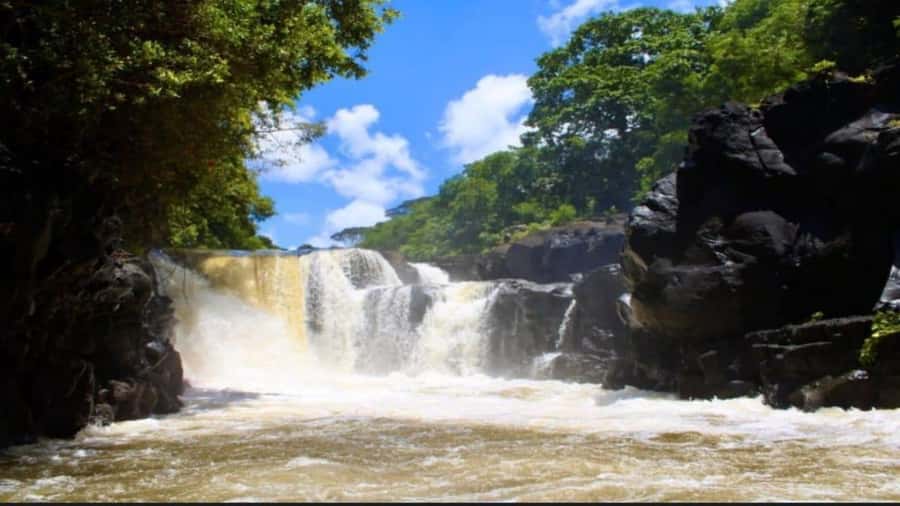 Mauritius: Ile Aux Cerfs catamaran cruise Lunch with BBQ - From Trou d’eau Douce to Île aux Cerfs: how the day really flows