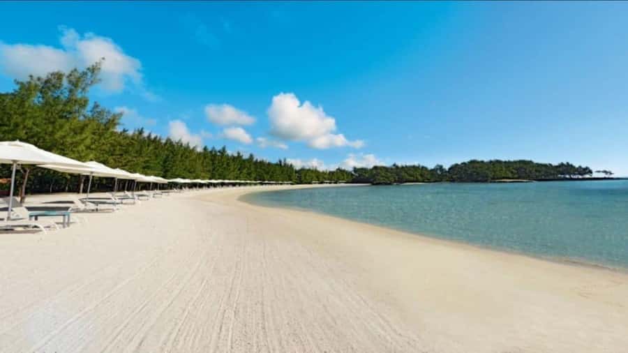 Mauritius: Ile Aux Cerfs catamaran cruise Lunch with BBQ - Sega music and the crew vibe on the return trip